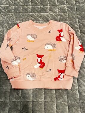 Girls' Pink Fox & Hedgehog Graphic Crewneck Sweatshirt